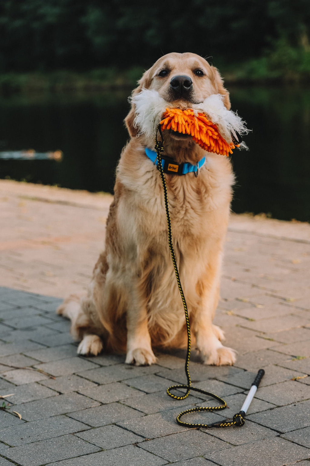Băț pentru câini cu capete interschimbabile: mop portocaliu + lână