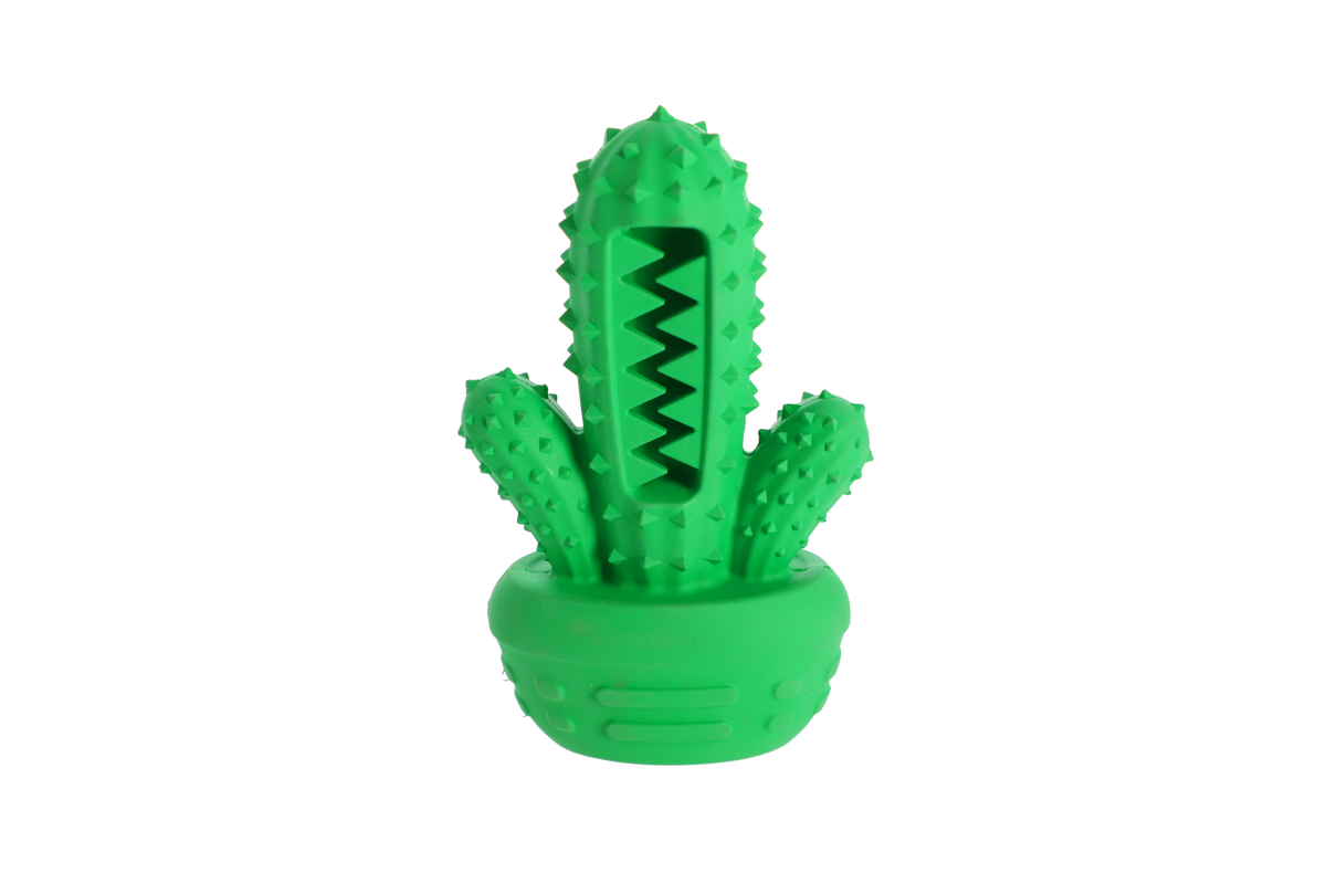 Jucărie pentru câini din cauciuc dur TPR cactus 15 cm