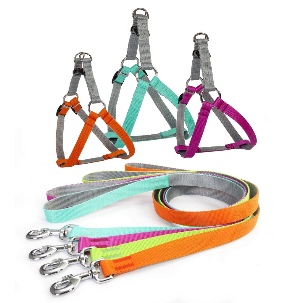 Ham tip step-in pentru câini Energy Silver